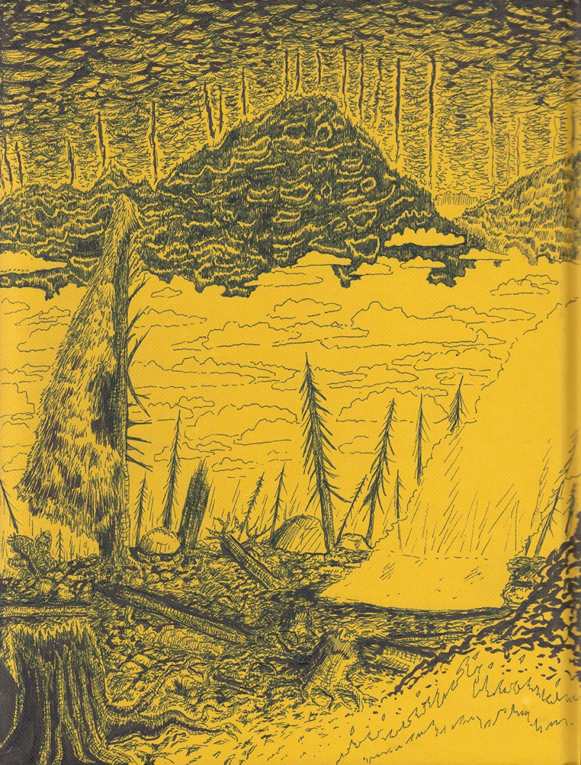 storybcoverback
